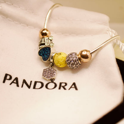 Sterling Silver Pandora-Style Bracelet